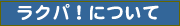���N�p�I�ɂ���